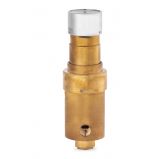 Pressure Tech MF300T Piston-Sensed Medium-Flow Tracking Pressure Regulator